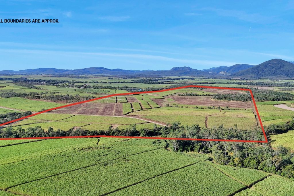 Lot 21 241 Wintons Road, Yalboroo, QLD 4741 AUS
