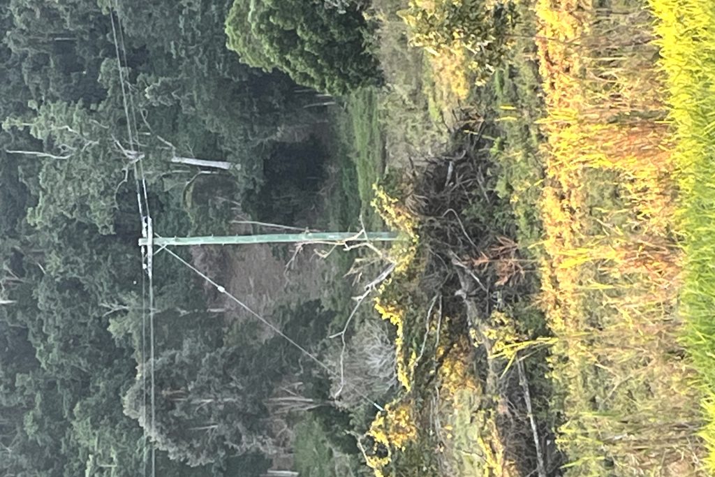 514 Dunwoody Road, Ball Bay, QLD 4741 AUS