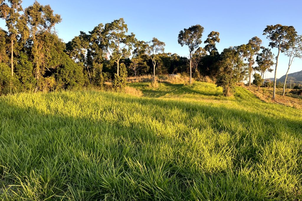 514 Dunwoody Road, Ball Bay, QLD 4741 AUS