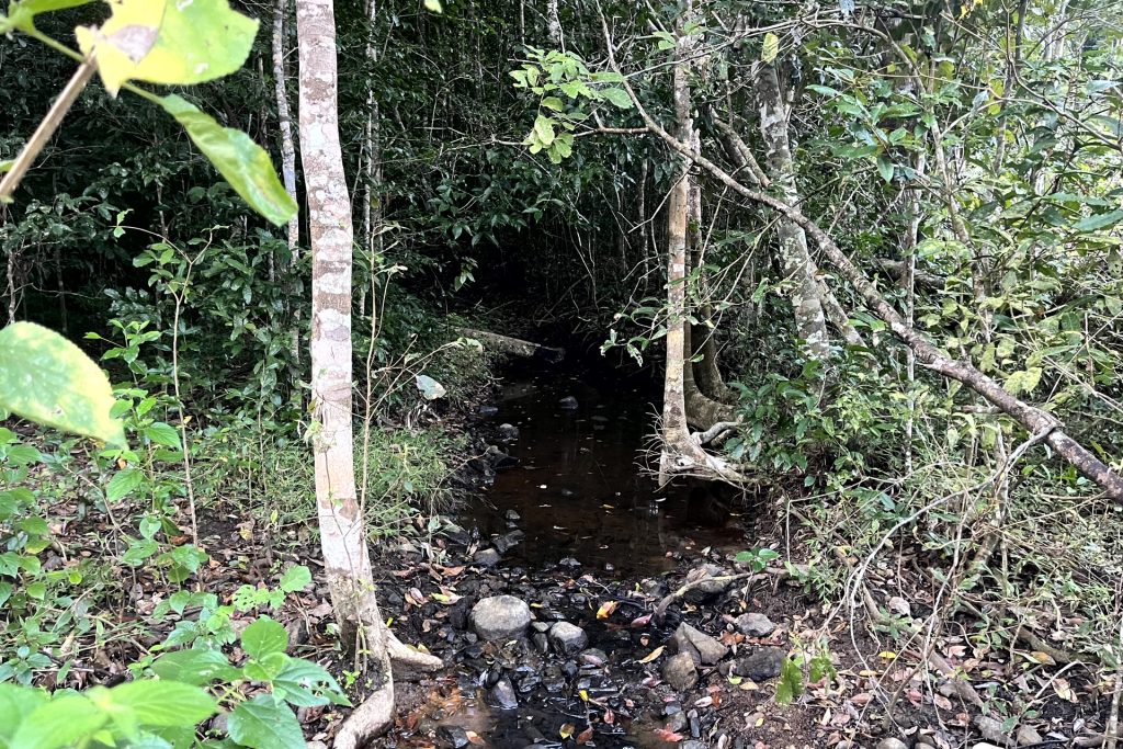 514 Dunwoody Road, Ball Bay, QLD 4741 AUS