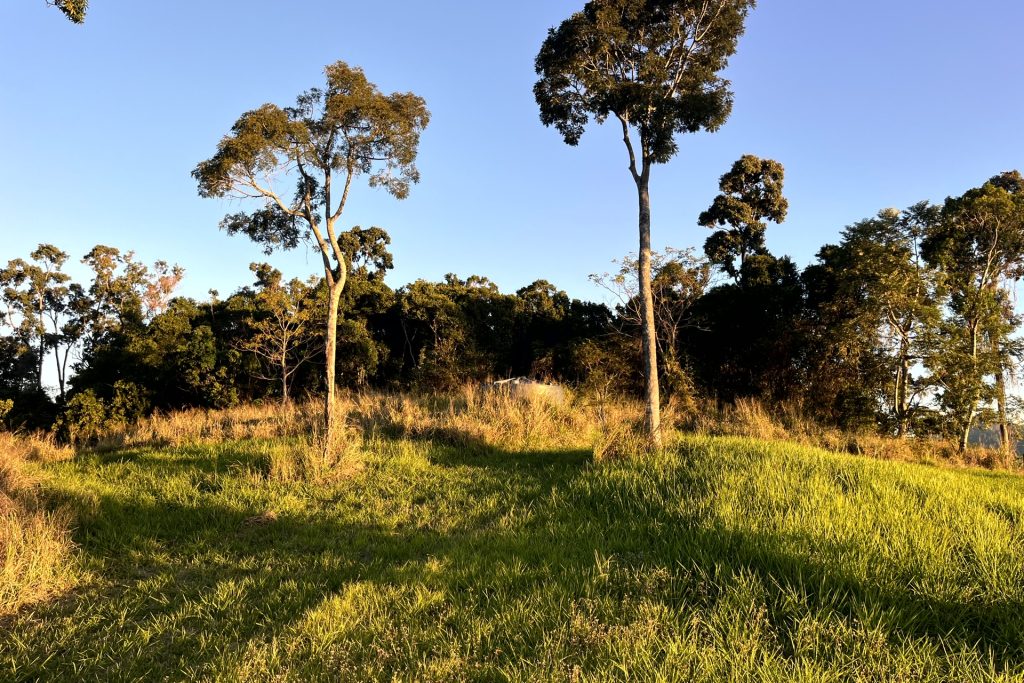 514 Dunwoody Road, Ball Bay, QLD 4741 AUS