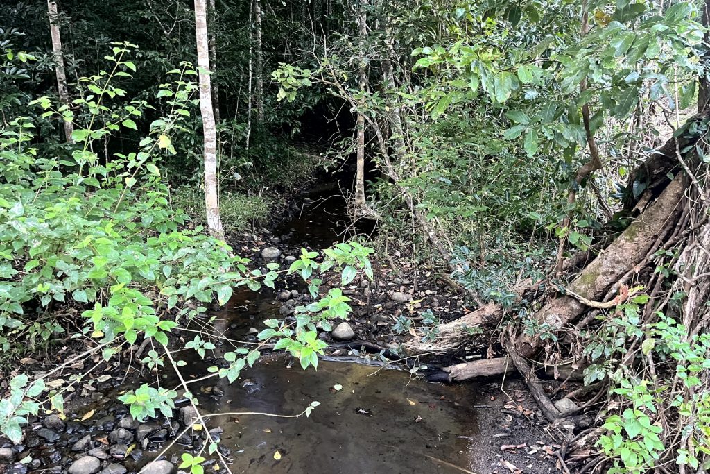 514 Dunwoody Road, Ball Bay, QLD 4741 AUS