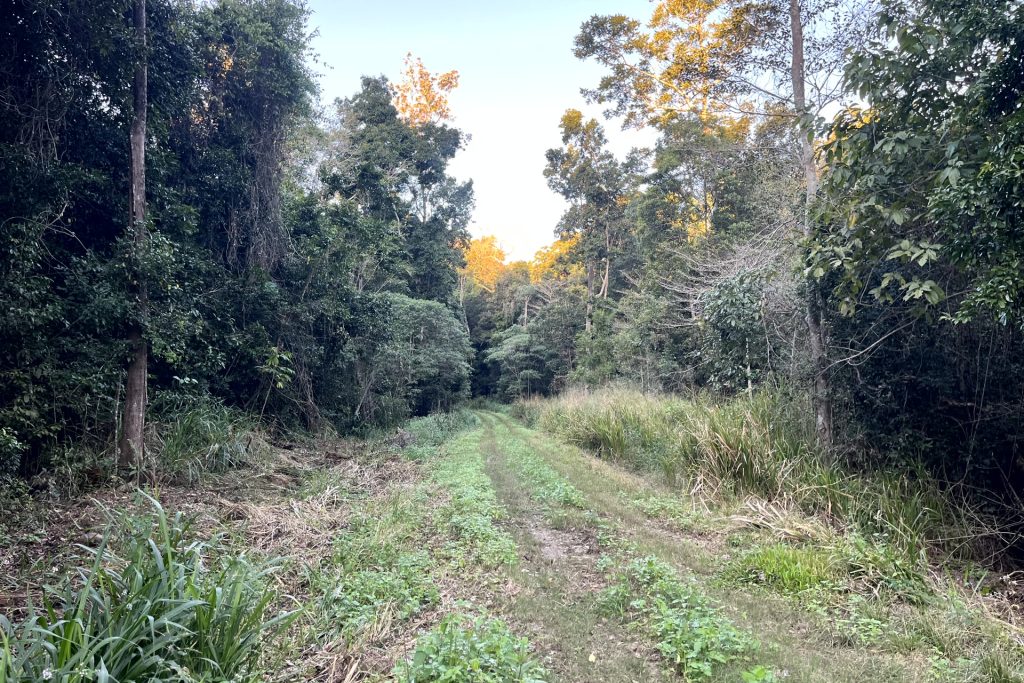 514 Dunwoody Road, Ball Bay, QLD 4741 AUS