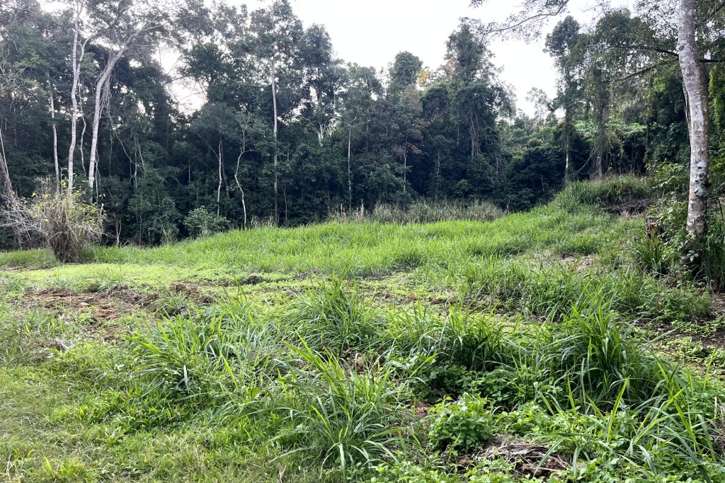 514 Dunwoody Road, Ball Bay, QLD 4741 AUS