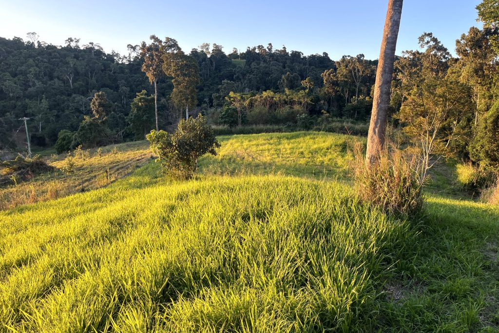 514 Dunwoody Road, Ball Bay, QLD 4741 AUS