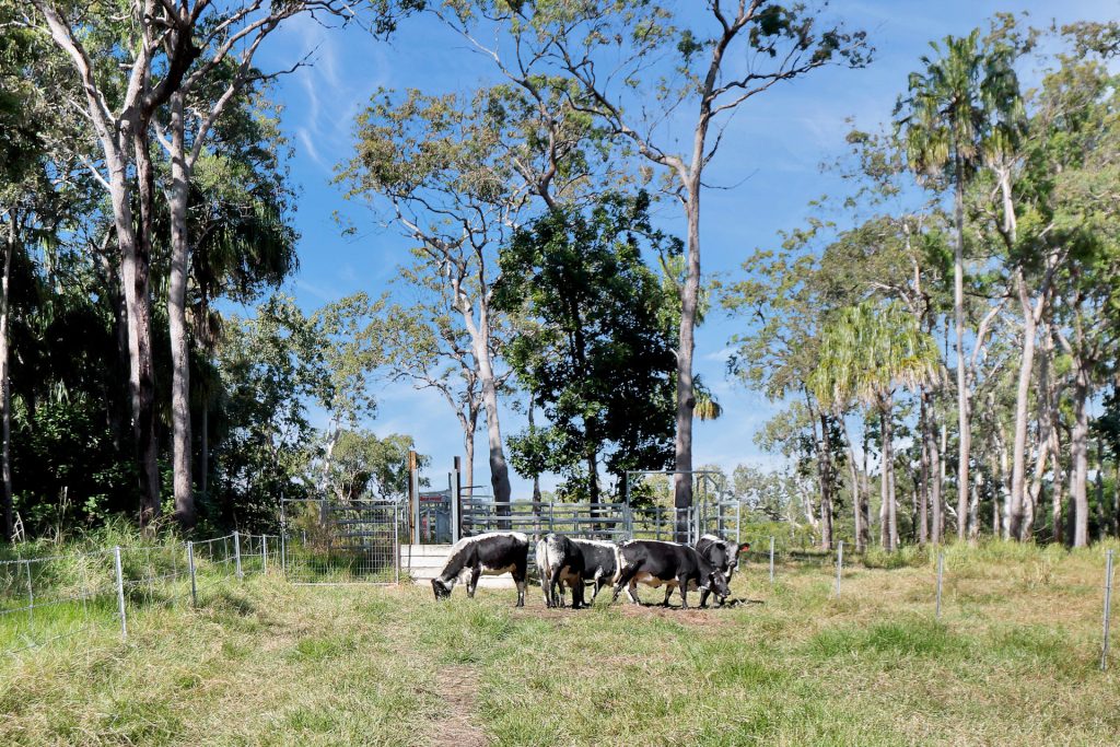 768 Sarina Beach Road, Sarina Beach, QLD 4737 AUS