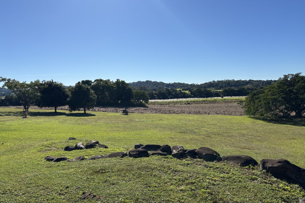 142 Miclere Farleigh Road, Farleigh, QLD 4741 AUS