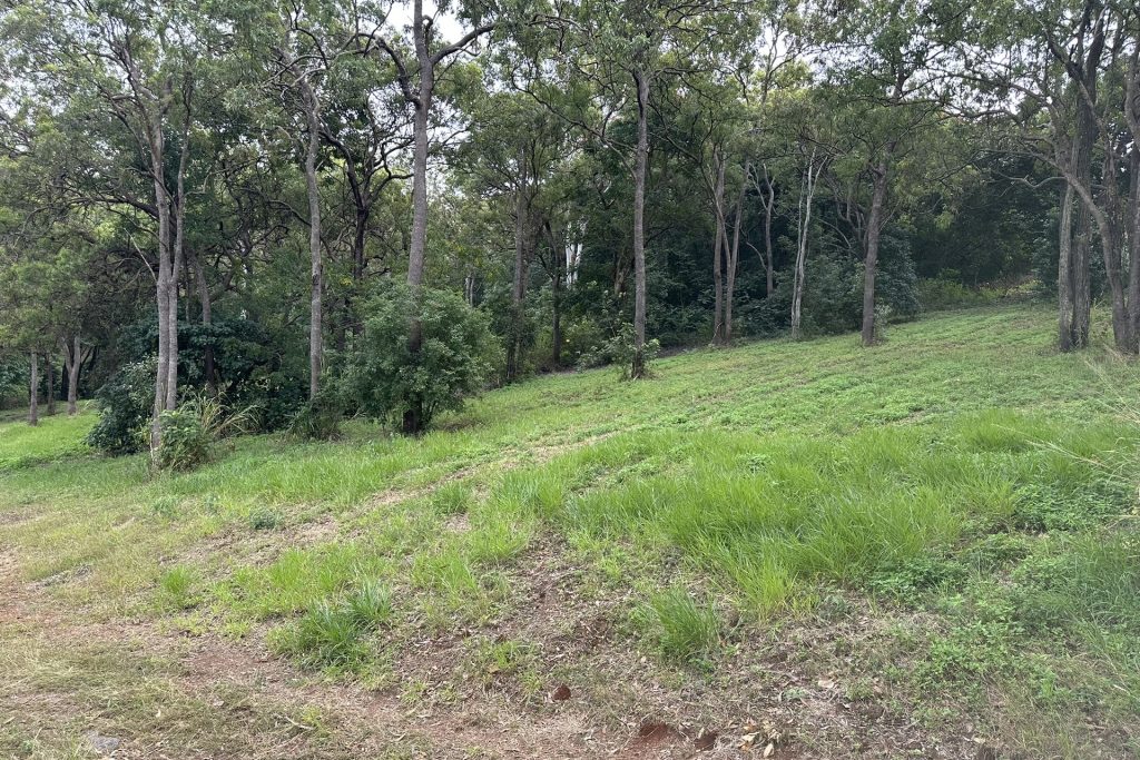 14 Diamond Crescent, Sarina, QLD 4737 AUS