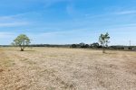Kellys Road, Walkerston, QLD 4751 AUS