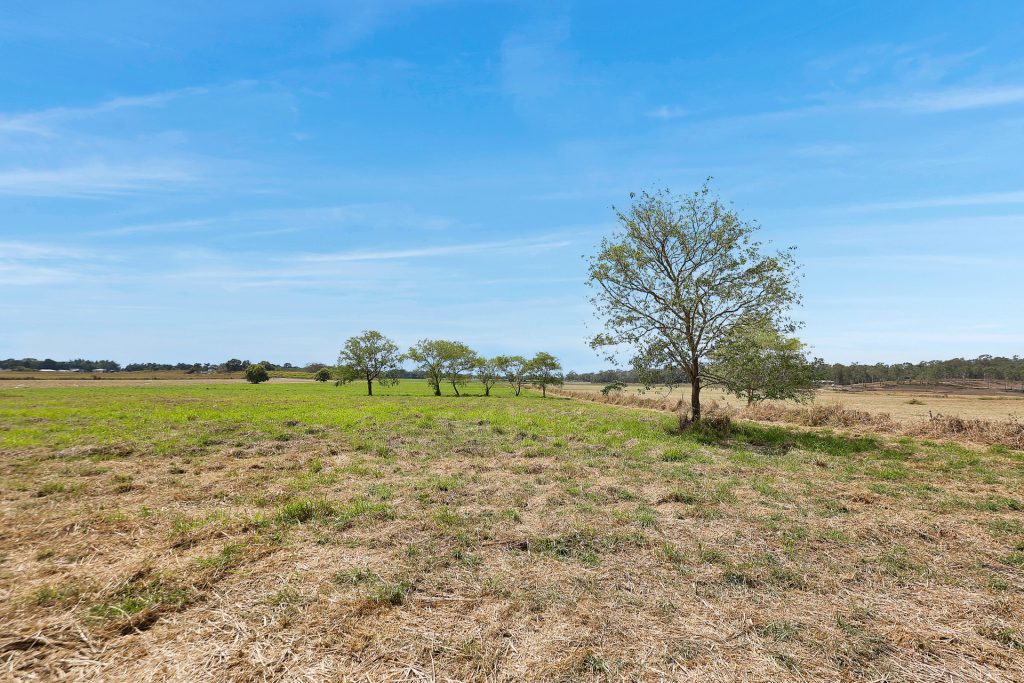 Kellys Road, Walkerston, QLD 4751 AUS