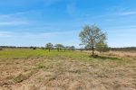 Kellys Road, Walkerston, QLD 4751 AUS