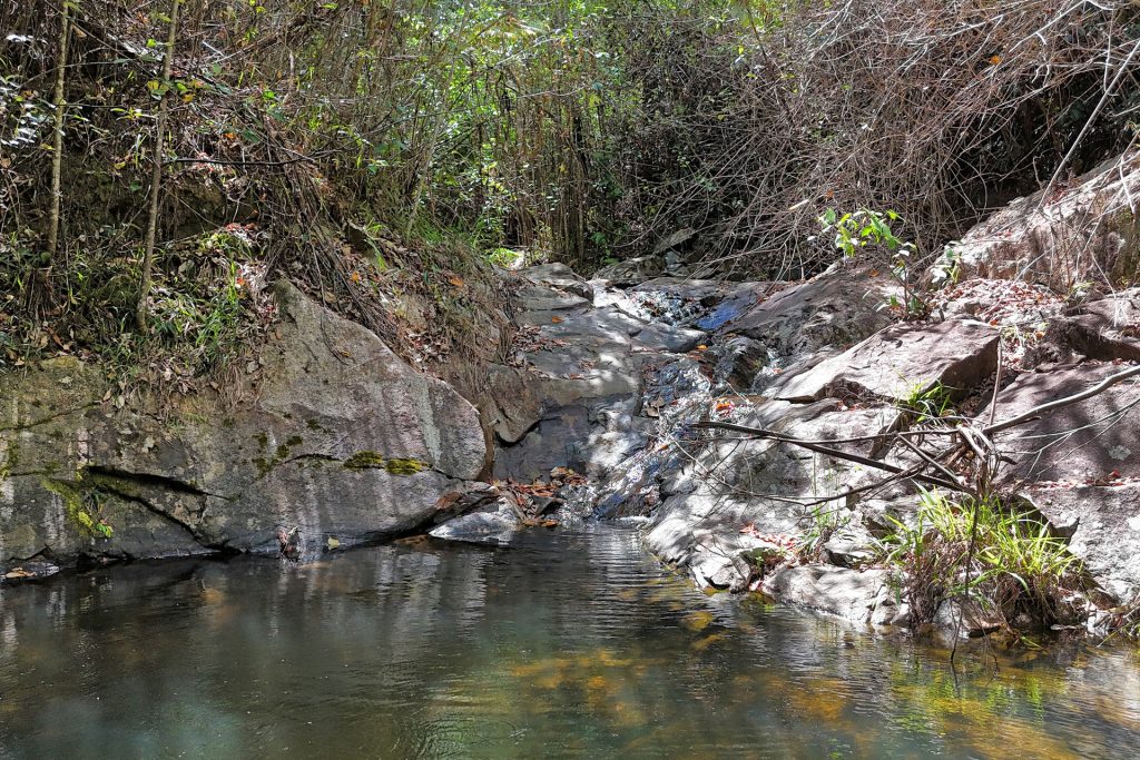 194 Cathay Creek Road, Crediton, QLD 4757 AUS