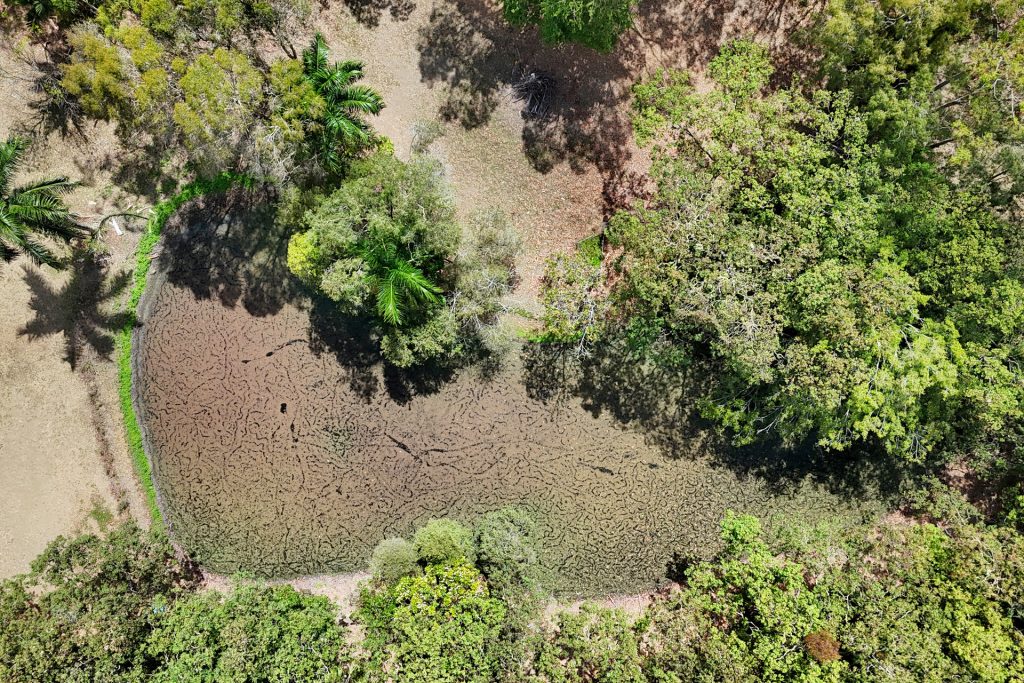 10 Rural View Drive, Rural View, QLD 4740 AUS