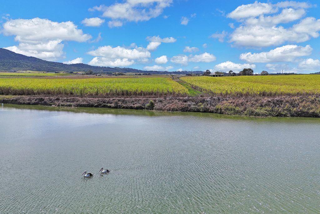 1 Kochs Road, Farleigh, QLD 4741 AUS