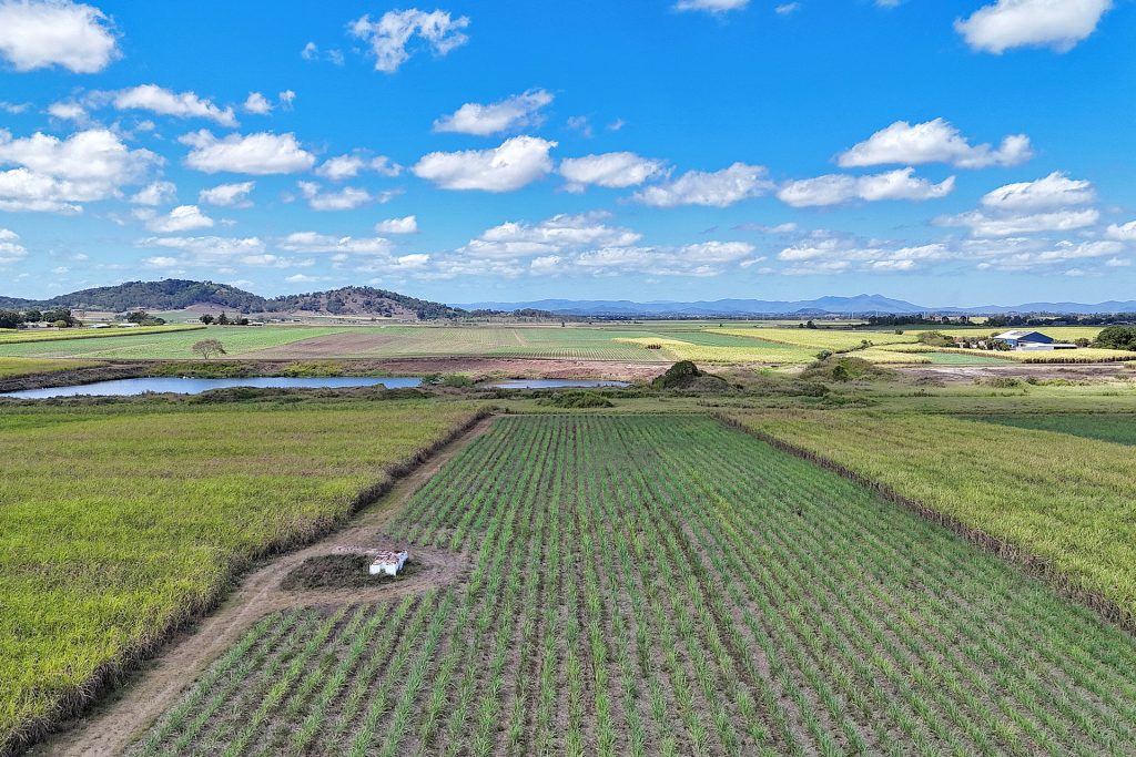 1 Kochs Road, Farleigh, QLD 4741 AUS