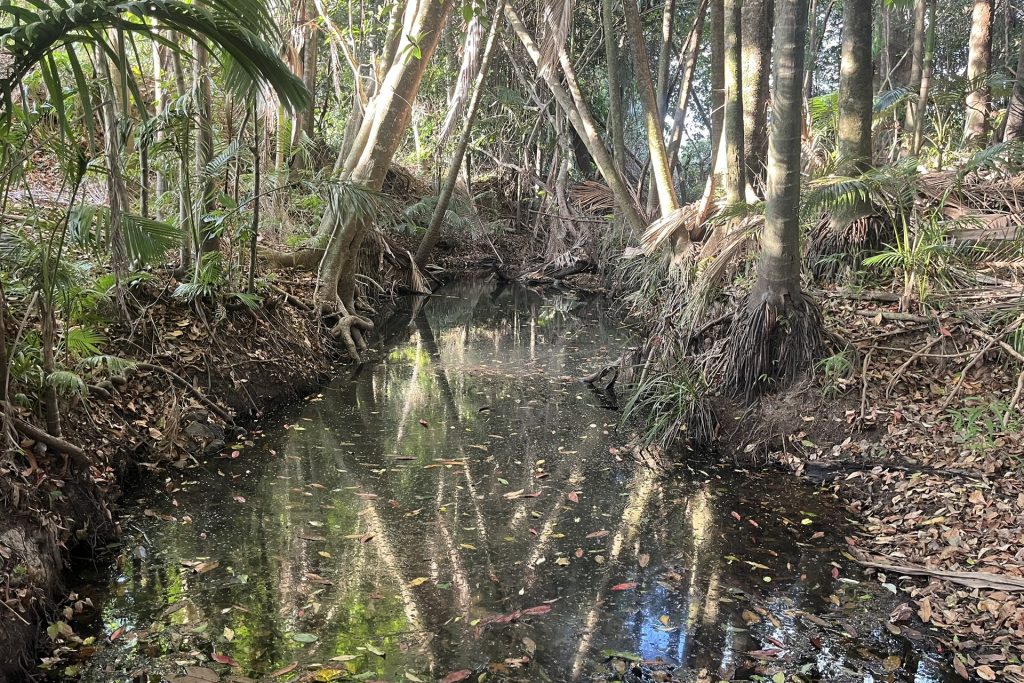 1213 Mirani-Mount Ossa Road, Dows Creek, QLD 4754 AUS