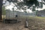 1213 Mirani-Mount Ossa Road, Dows Creek, QLD 4754 AUS
