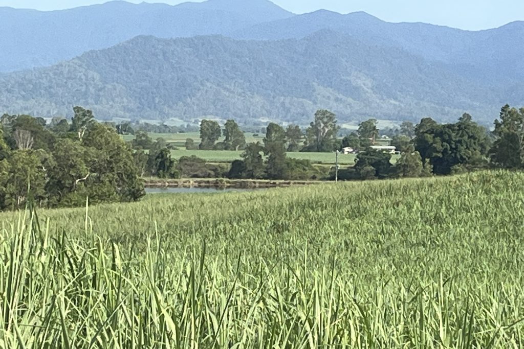 39 Walker-Finns Road, Pinnacle, QLD 4741 AUS