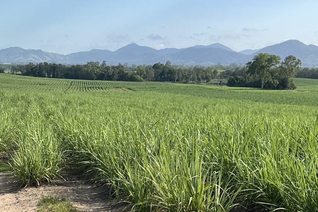 39 Walker-Finns Road, Pinnacle, QLD 4741 AUS