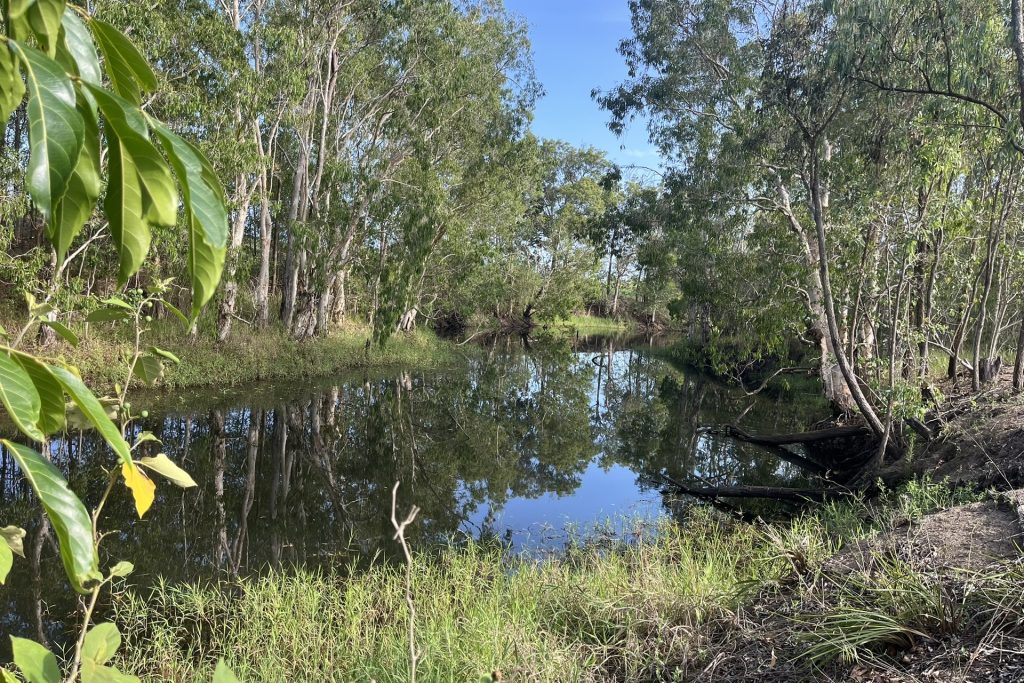 39 Walker-Finns Road, Pinnacle, QLD 4741 AUS