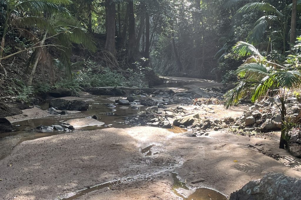 39 Walker-Finns Road, Pinnacle, QLD 4741 AUS