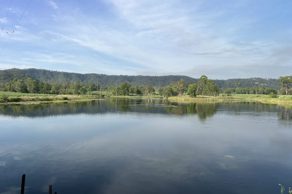 39 Walker-Finns Road, Pinnacle, QLD 4741 AUS