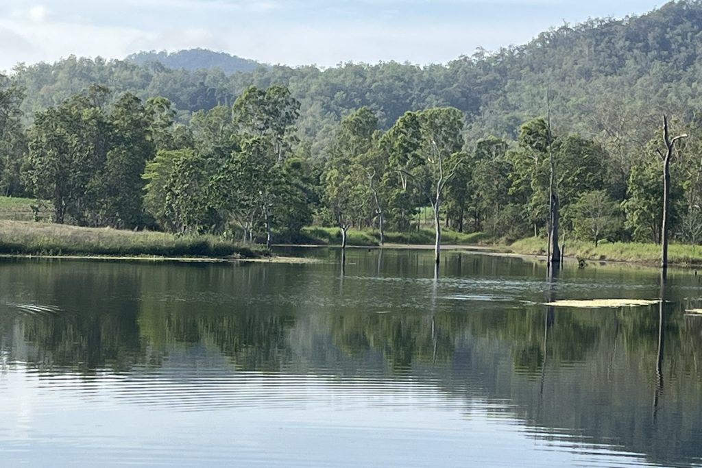 39 Walker-Finns Road, Pinnacle, QLD 4741 AUS