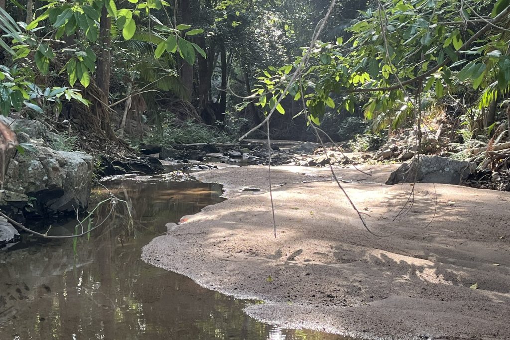 39 Walker-Finns Road, Pinnacle, QLD 4741 AUS