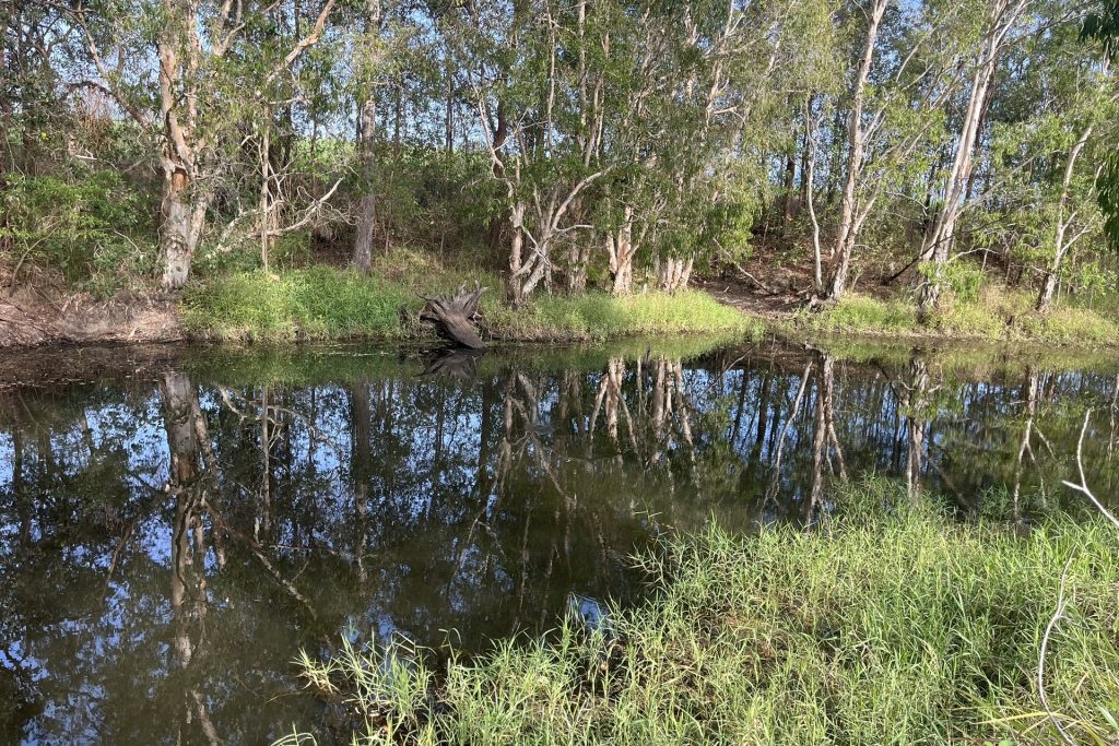 39 Walker-Finns Road, Pinnacle, QLD 4741 AUS