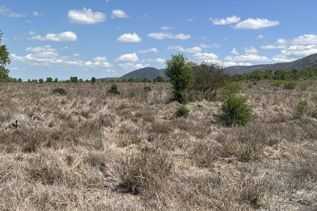 Lot 3 Collinsville Turrawulla Road, Nebo, QLD 4742 AUS