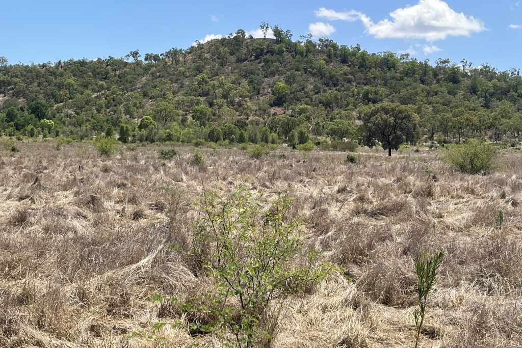 Lot 3 Collinsville Turrawulla Road, Nebo, QLD 4742 AUS