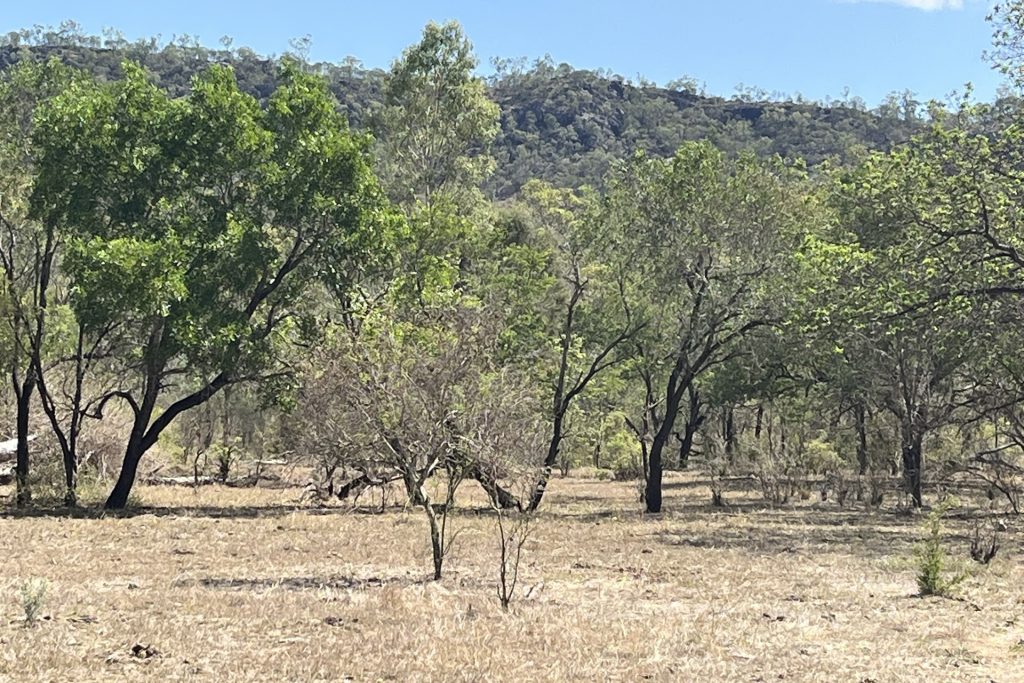 Lot 3 Collinsville Turrawulla Road, Nebo, QLD 4742 AUS