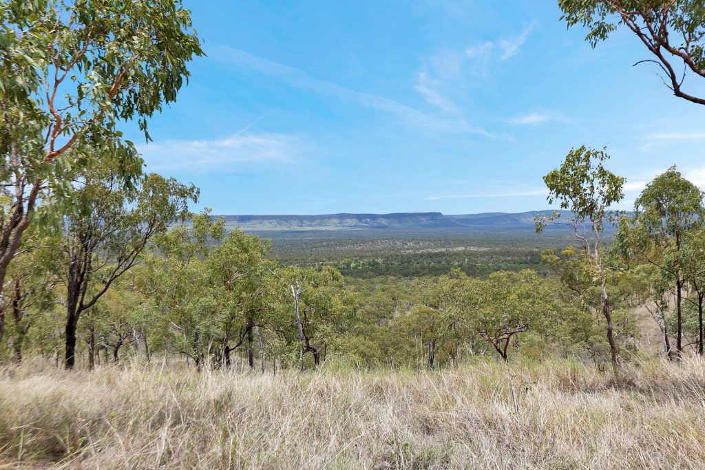 Lot 3 Collinsville Turrawulla Road, Nebo, QLD 4742 AUS