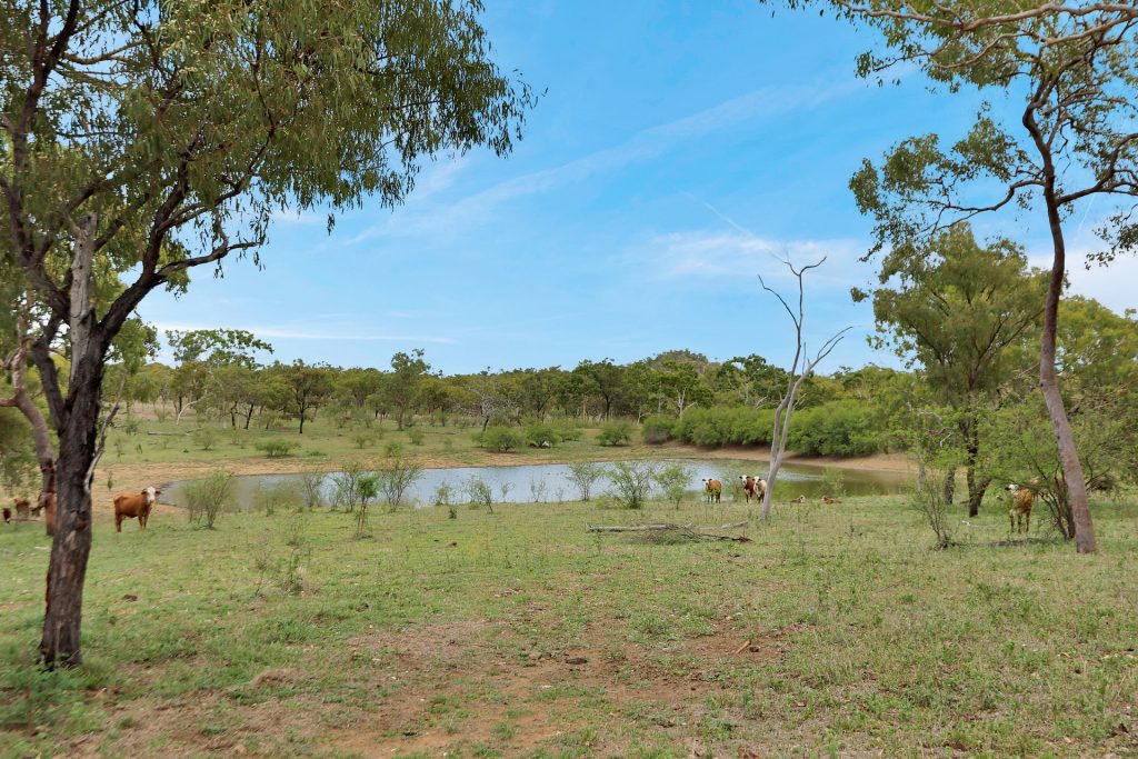Lot 3 Collinsville Turrawulla Road, Nebo, QLD 4742 AUS