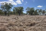 Lot 3 Collinsville Turrawulla Road, Nebo, QLD 4742 AUS