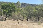 Lot 3 Collinsville Turrawulla Road, Nebo, QLD 4742 AUS