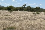 Lot 3 Collinsville Turrawulla Road, Nebo, QLD 4742 AUS