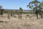 Lot 3 Collinsville Turrawulla Road, Nebo, QLD 4742 AUS