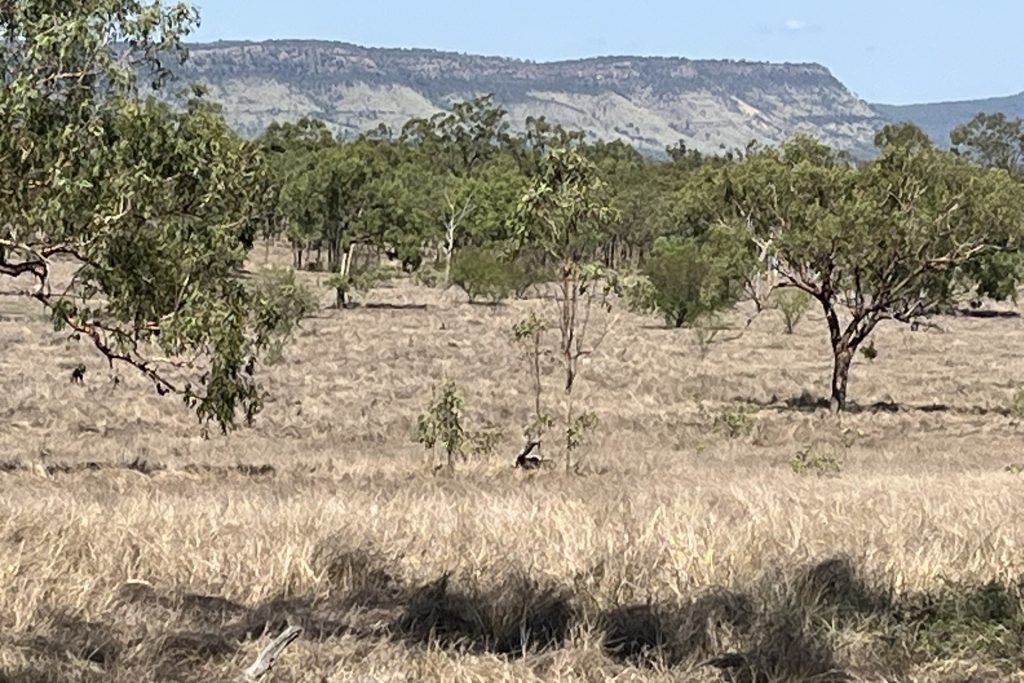 Lot 3 Collinsville Turrawulla Road, Nebo, QLD 4742 AUS