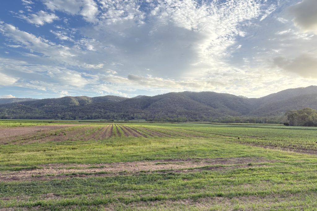 Lot 2 Sievers Road, Oakenden, QLD 4741 AUS