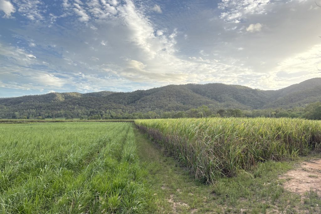 Lot 2 Sievers Road, Oakenden, QLD 4741 AUS