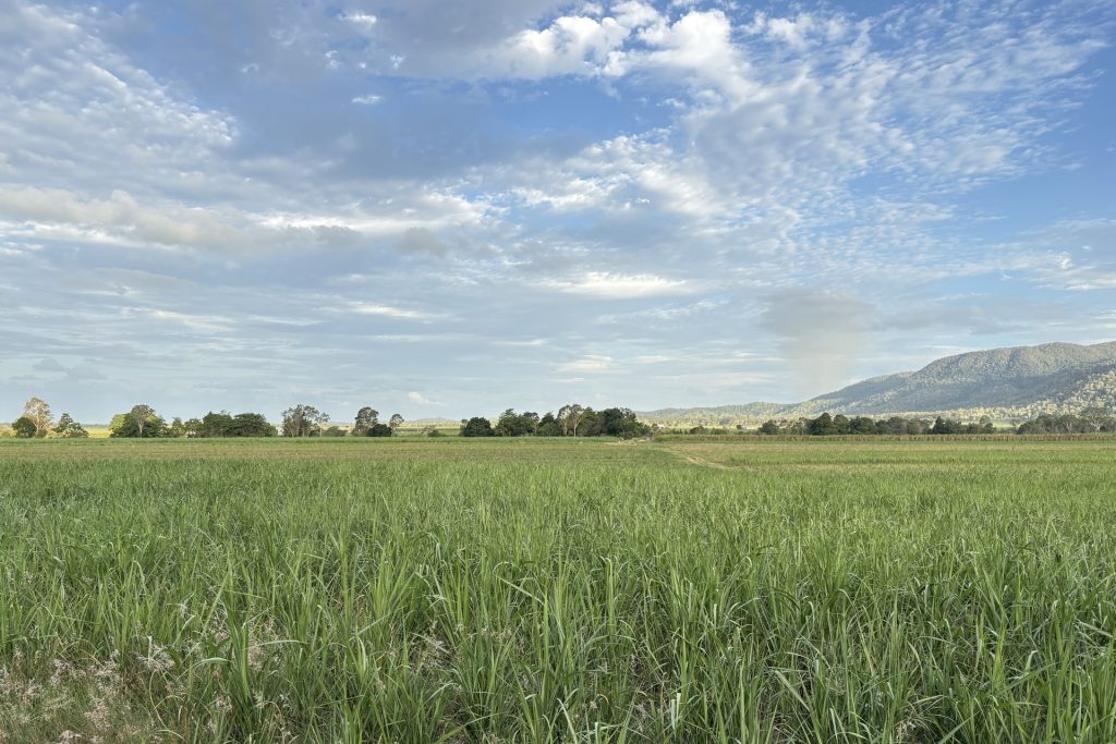 Lot 2 Sievers Road, Oakenden, QLD 4741 AUS