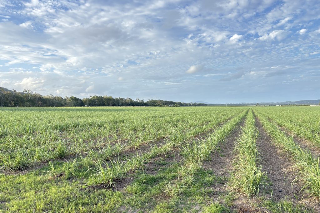 Lot 2 Sievers Road, Oakenden, QLD 4741 AUS