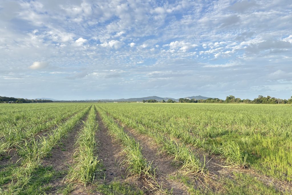 Lot 2 Sievers Road, Oakenden, QLD 4741 AUS