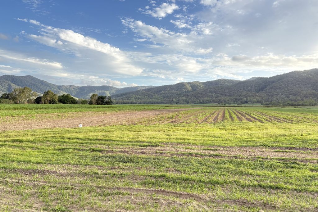 Lot 2 Sievers Road, Oakenden, QLD 4741 AUS