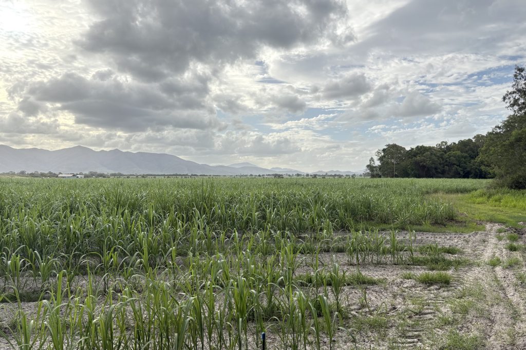 Lot 2 Oakenden-Sarina Road, Oakenden, QLD 4741 AUS