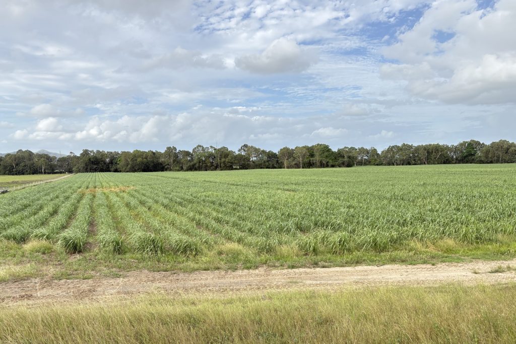 Lot 2 Oakenden-Sarina Road, Oakenden, QLD 4741 AUS