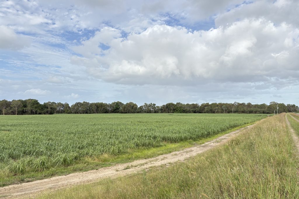 Lot 2 Oakenden-Sarina Road, Oakenden, QLD 4741 AUS