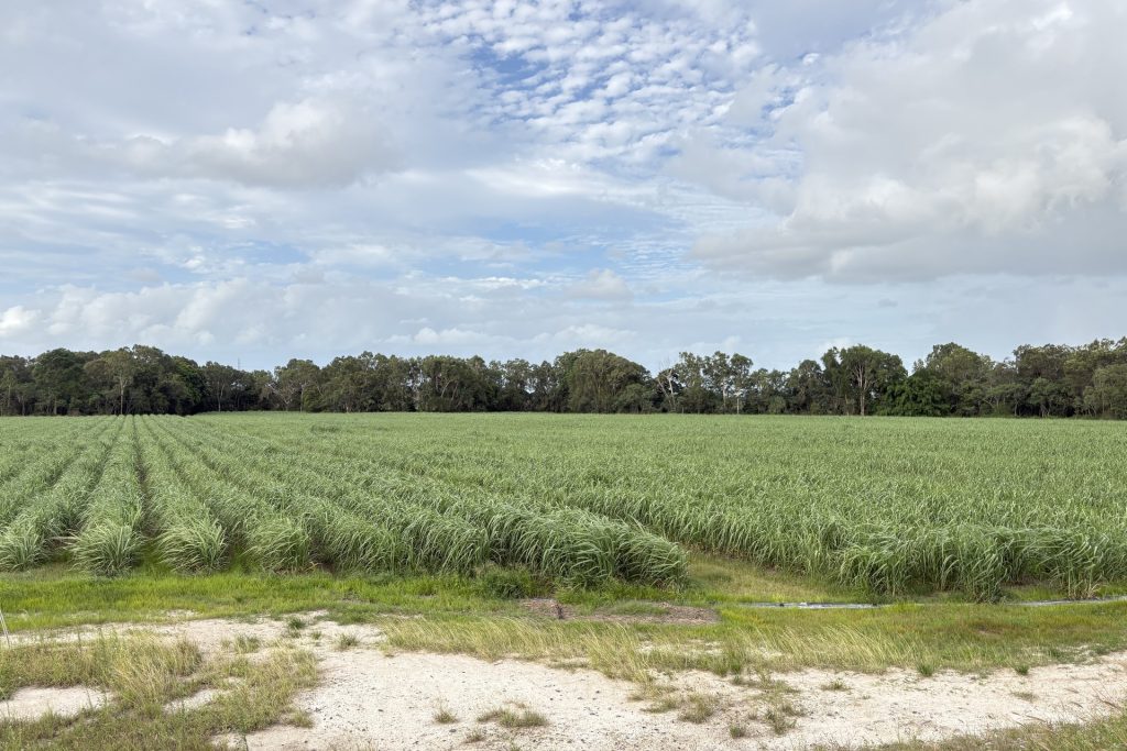 Lot 2 Oakenden-Sarina Road, Oakenden, QLD 4741 AUS