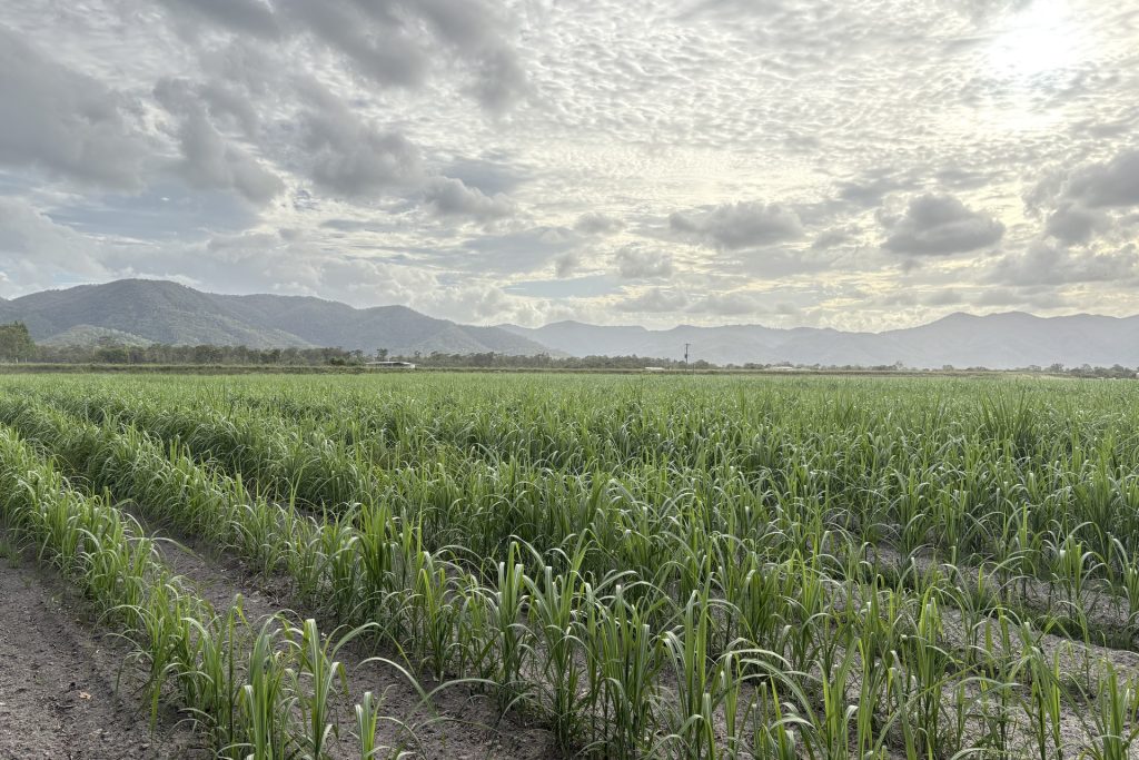 Lot 2 Oakenden-Sarina Road, Oakenden, QLD 4741 AUS